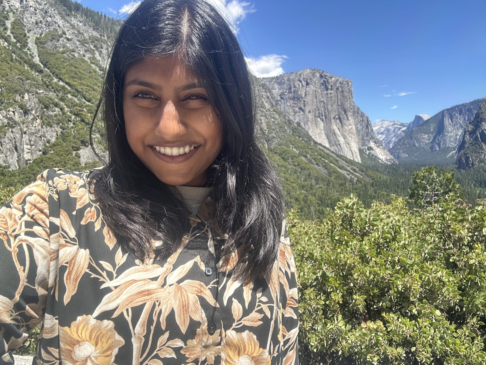 Beulah at Tunnel View overlooking Yosemite Valley