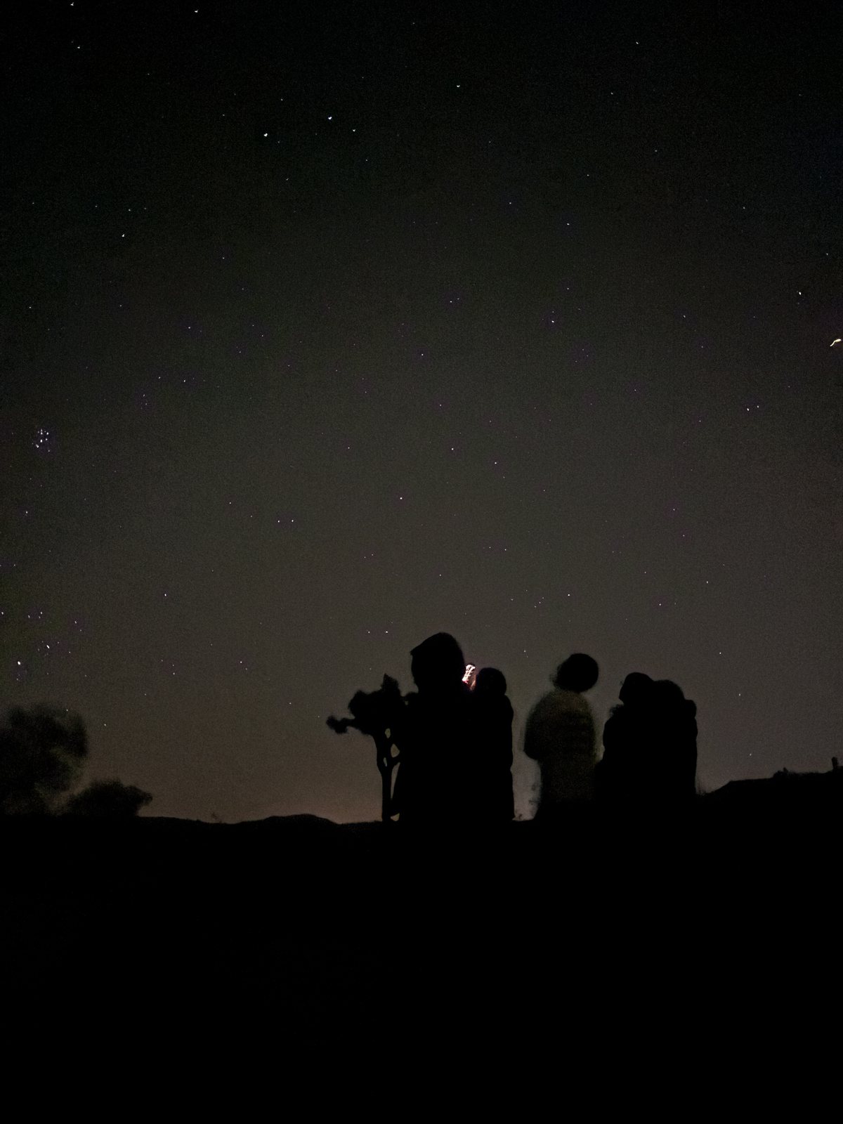 Stargazing under a star-filled desert night sky with a telescope and Joshua trees in silhouette